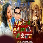 14 April Ke Guje Jay Bhim Jee Kew Nara