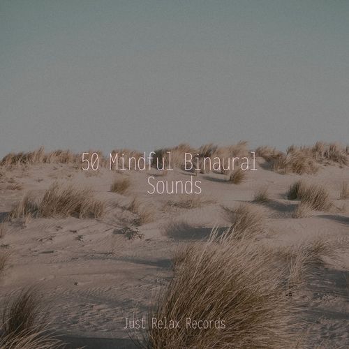 Melodic Pulsations Within cover art