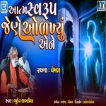 Aatma Swarup Jene Olkhyu Ane