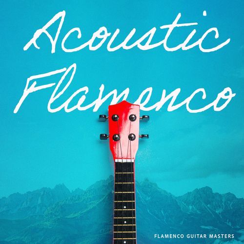 Acoustic Flamenco