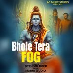 Bhole Tera Fog