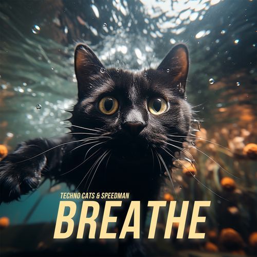 Breathe (Techno)_poster_image