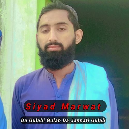 Da Gulabi Gulab Da Jannati Gulab