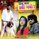 Dhinu Mara Tu Kya Gayo