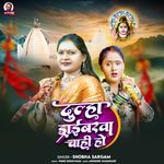 Dulha Driverwa Chahi Ho