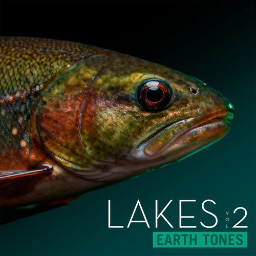 Inland Tides cover art