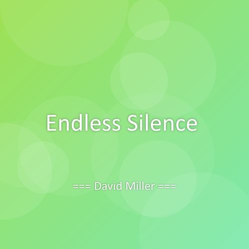 Endless Silence