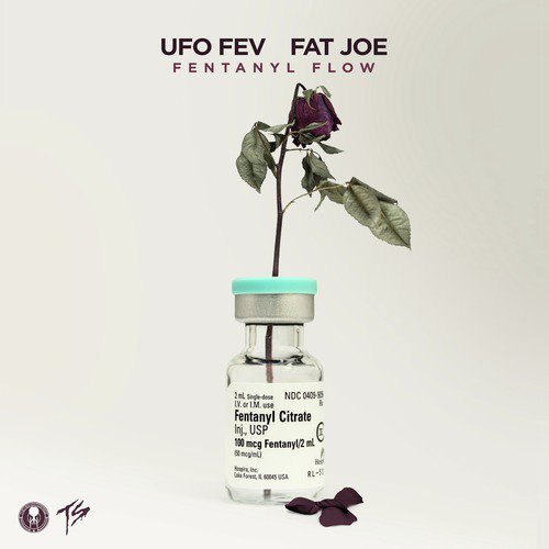 Fentanyl Flow (feat. Fat Joe) [Radio Edit]_poster_image