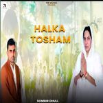 Halka Tosham