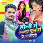 Holi Me Kaila Kukaram Ye Jijaji