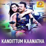 Kandittum Kaanatha (From "Dhamaka") (Original Motion Picture Soundtrack)