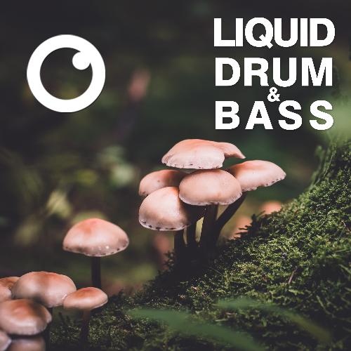 Liquid Drum & Bass Sessions 2020 Vol 31