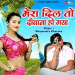 Mera Dil To Deewana Ho Gaya