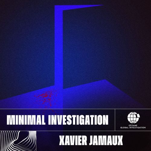 Minimal Investigation_poster_image