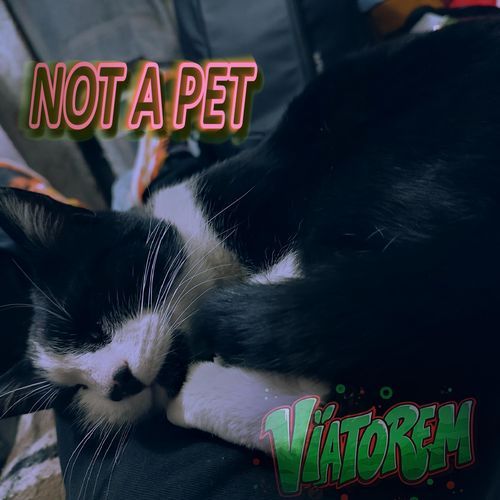 NOT A PET