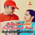 Neele Nasheele Naina