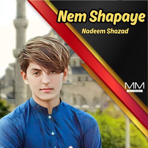 Nem Shapaye