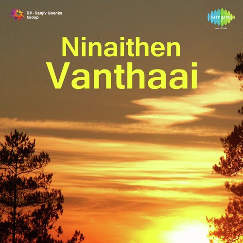 Ninaithen Vanthaai