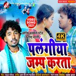 Palangiya jamp karata