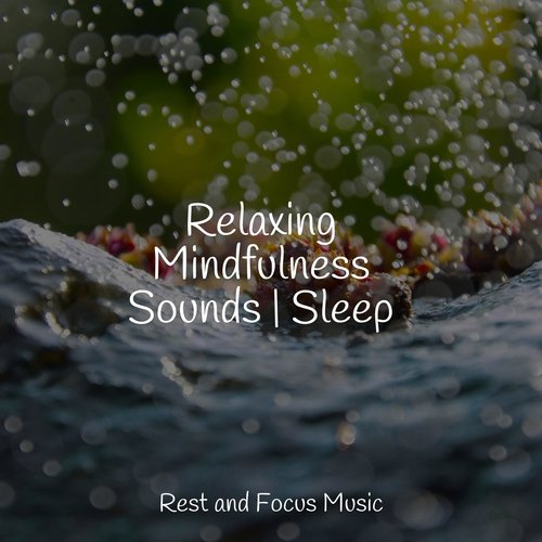 Relaxing Mindfulness Sounds | Sleep