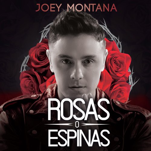 Rosas O Espinas_poster_image