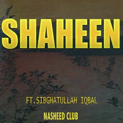 Shaheen-OgIFcBNKeWo