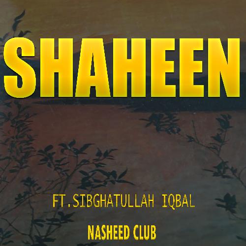 Shaheen