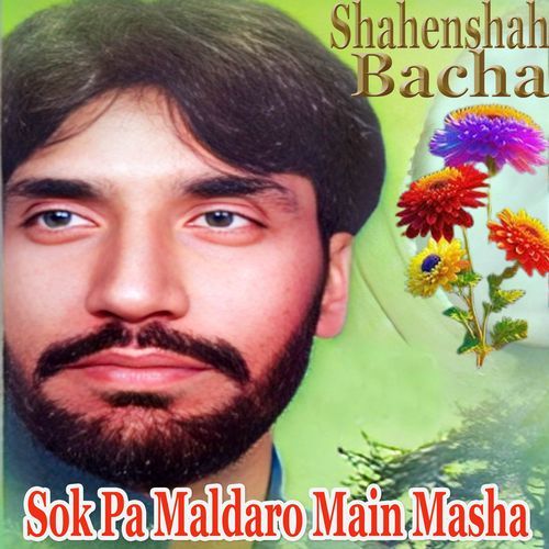 Sok Pa Maldaro Main Masha