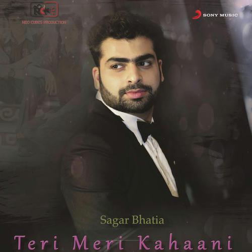 Teri Meri Kahaani_poster_image