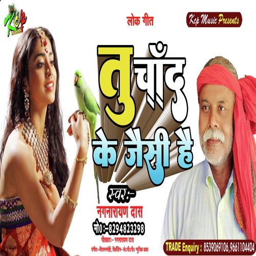 Tu Chand Ke Jaisi hai (Bhojpuri Song)