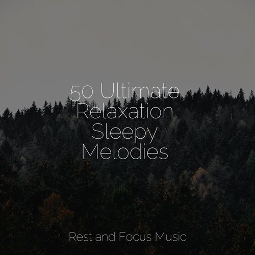 50 Ultimate Relaxation Sleepy Melodies