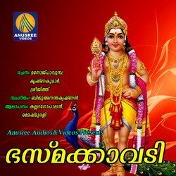 Paarvathithan Parinayam-Kj5SVh11f3U