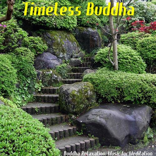 Timeless Buddha