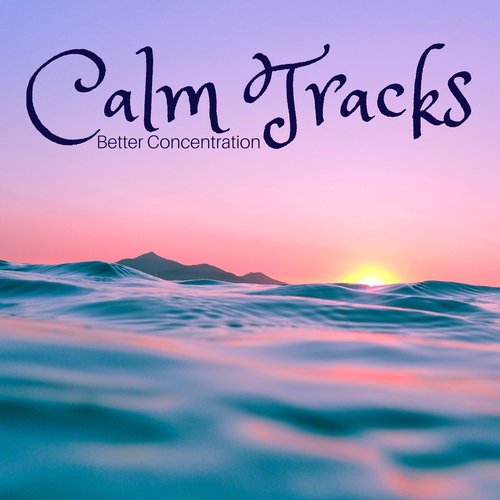 Calm Tracks: Better Concentration, Brain training, Zen Music for Studing & Contemplation, Bacground Music to Help You Focus