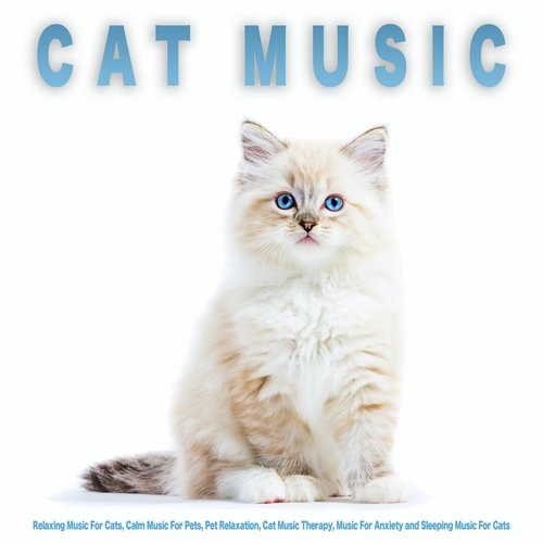 Cat Music Therapy cover art