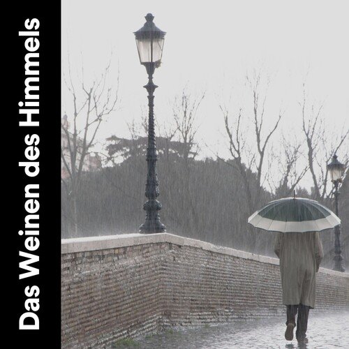 Regenstimmung