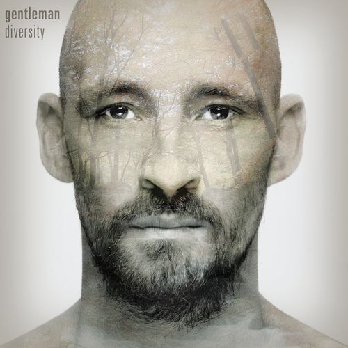 Diversity (Deluxe Bonus Version)