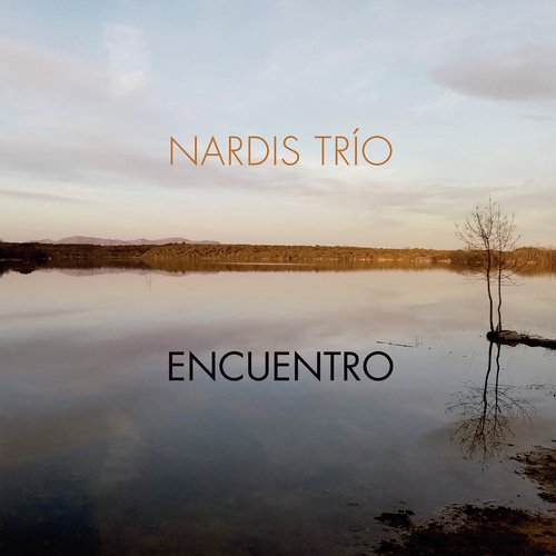 Más allá del tiempo cover art