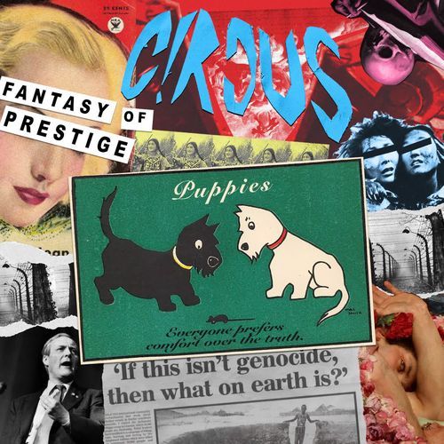 Fantasy of Prestige / Puppies