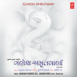 Ganesh Amritwani-BAk-REB-TUs