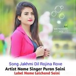 Jakhmi Dil Rojina Rove