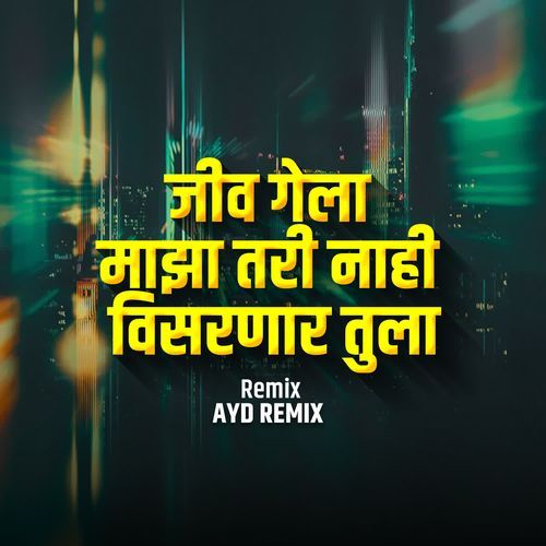 Jiv Gela Maza Tari Nahi Visarnar Tula(AYD Remix)