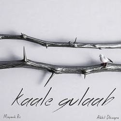 Kaale Gulaab