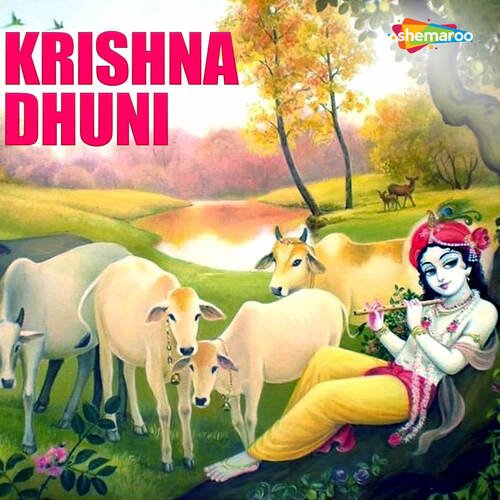 Krishna Dhuni