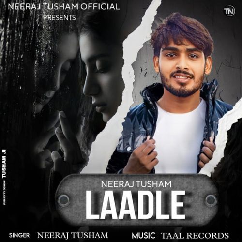 LAADLE