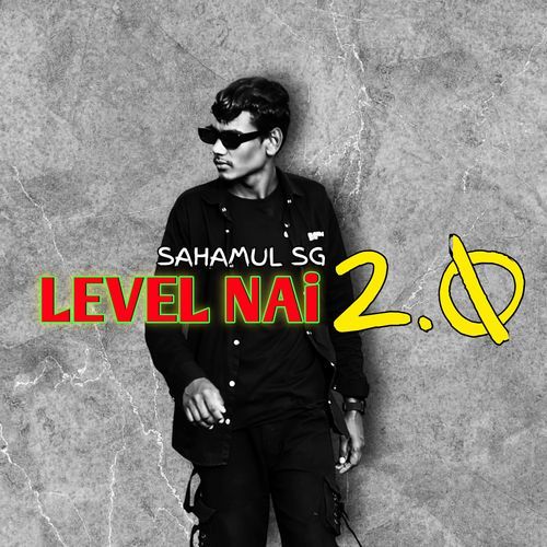 LEVEL NAI 2.0