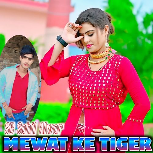 Mewat Ke Tiger