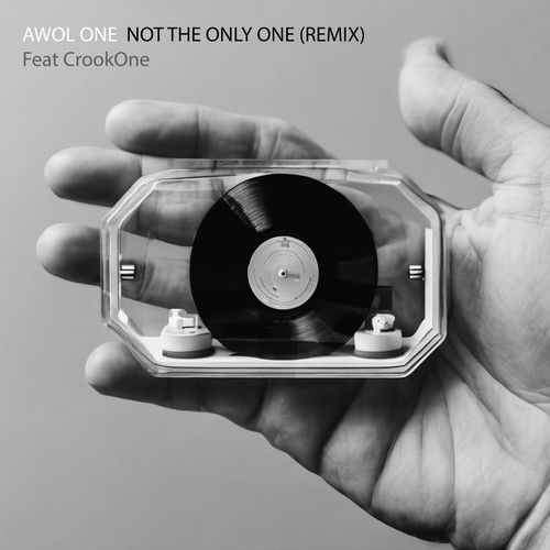 NOT THE ONLY ONE (REMIX)_poster_image