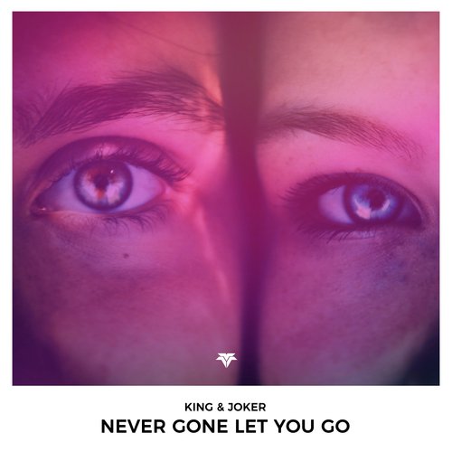 Never Gone Let You Go_poster_image