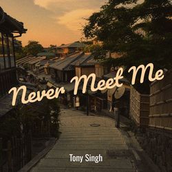 Never Meet Me